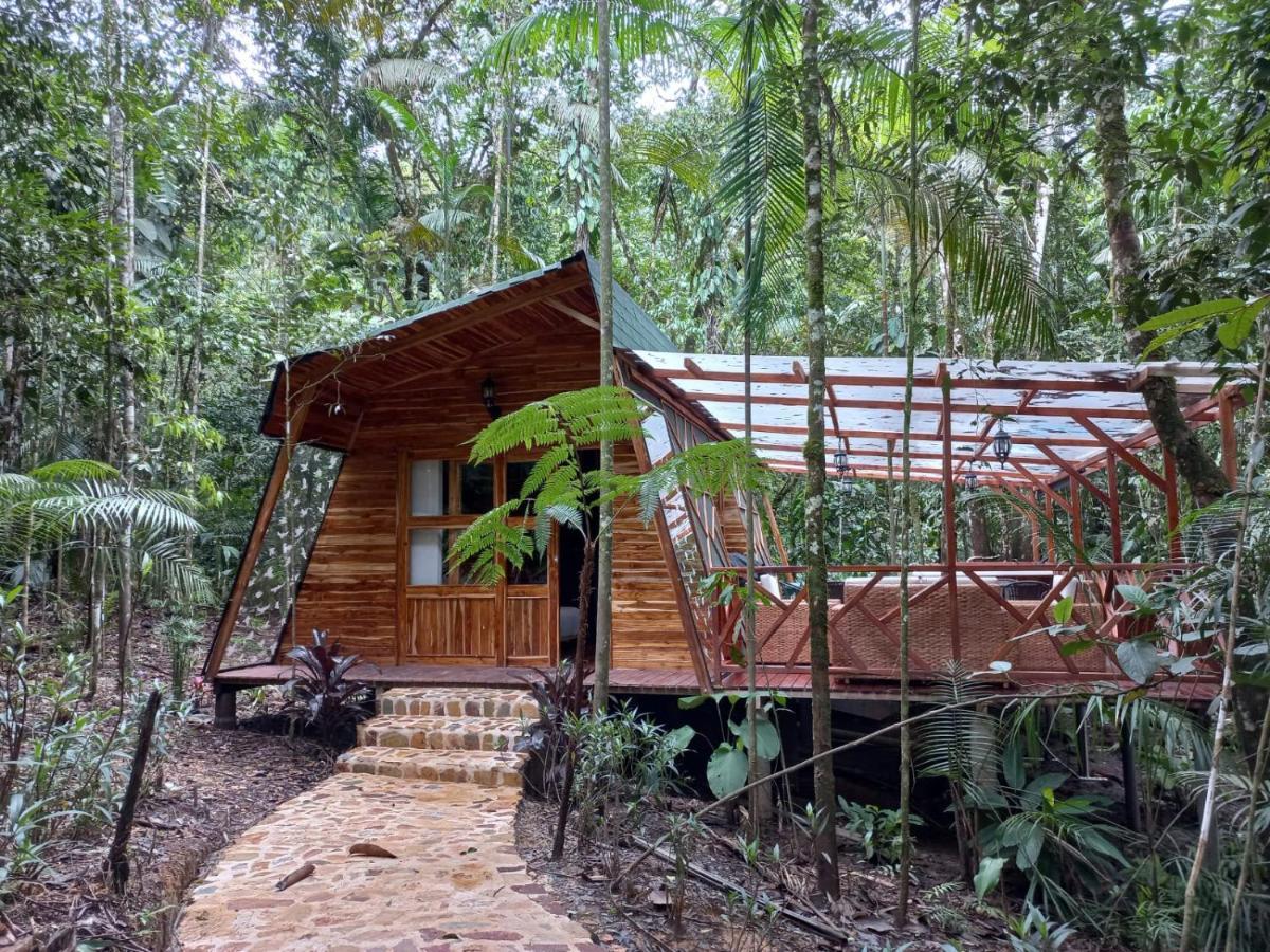 Eco Hotel Rio De Oro Сан-Рафаэль Экстерьер фото